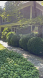 SEPTEMBER Shetreat Retreat - NEW YORK