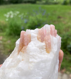Wild Pink Tourmaline Clusters