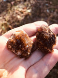 Wild Citrine Clusters