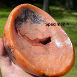 Polished Carnelian Bowls