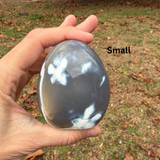 Orca Jasper Freeform