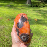 Polished Carnelian Bowls