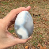 Orca Jasper Freeform