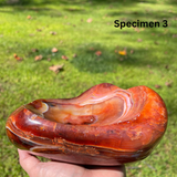Polished Carnelian Bowls