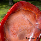 Polished Carnelian Bowls