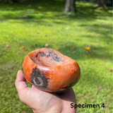 Polished Carnelian Bowls