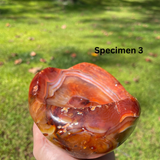Polished Carnelian Bowls