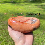 Polished Carnelian Bowls