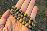 Polished Bumblebee Jasper Bracelet