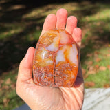 Carnelian Agate Freeform