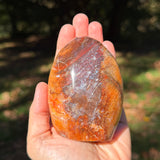 Carnelian Agate Freeform