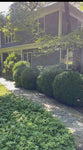 SEPTEMBER Shetreat Retreat - NEW YORK
