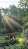SEPTEMBER Shetreat Retreat - NEW YORK