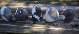Orca Jasper Freeform