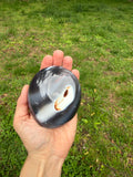 Orca Jasper Freeform