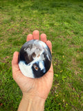 Orca Jasper Freeform