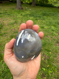 Orca Jasper Freeform