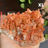 Wild Fire Quartz Clusters