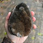 Septarian Nodule Dragon Eggs
