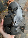 Septarian Nodule Dragon Eggs