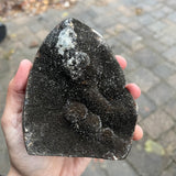 Septarian Nodule Dragon Eggs
