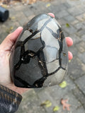 Septarian Nodule Dragon Eggs